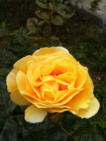 Name:  eg2.JPG
Views: 243
Size:  34.4 KB