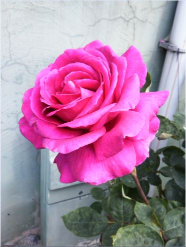 Name:  eg4.JPG
Views: 209
Size:  37.8 KB