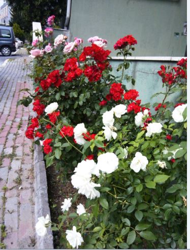 Name:  eg5.JPG
Views: 203
Size:  56.5 KB