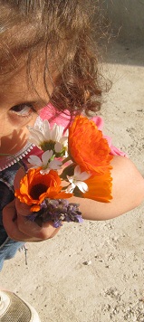 Name:  sevilin iekleri1.jpg
Views: 865
Size:  37.5 KB