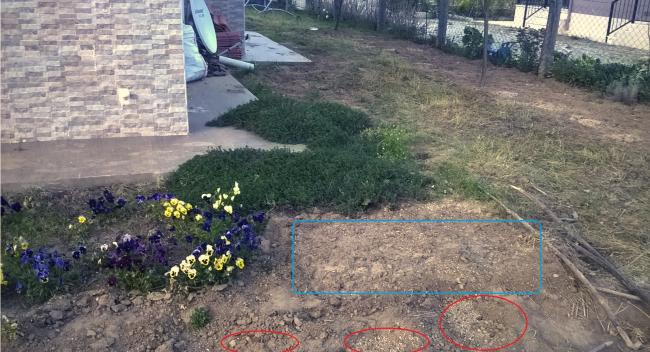 Name:  kekik 01.05.2016.jpg
Views: 768
Size:  56.6 KB