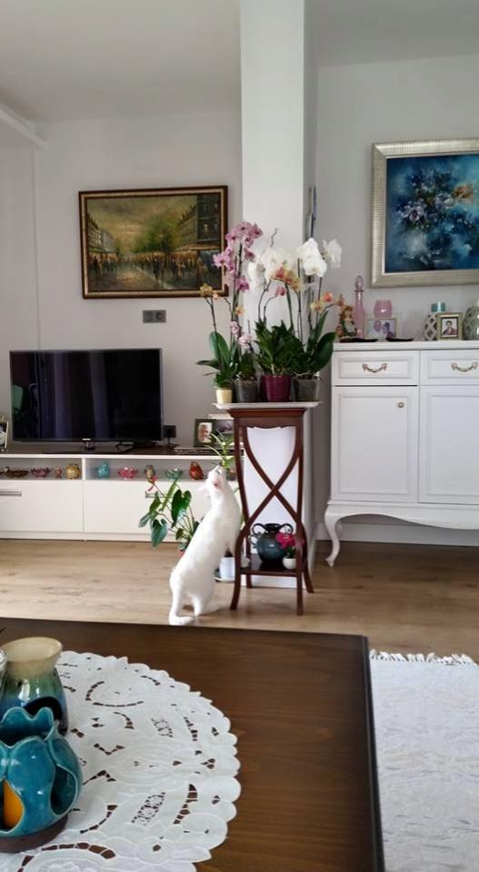 Name:  kedi.jpg
Views: 612
Size:  57.5 KB