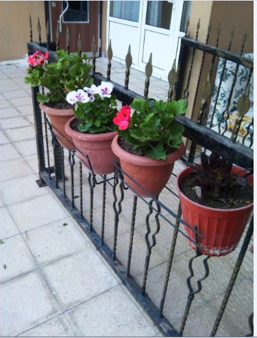 Name:  srs5.JPG
Views: 291
Size:  49.5 KB