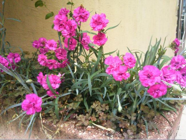 Name:  kr2.jpg
Views: 275
Size:  65.9 KB