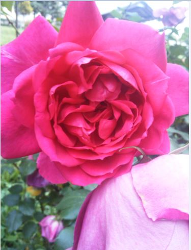 Name:  ar3.JPG
Views: 251
Size:  36.3 KB