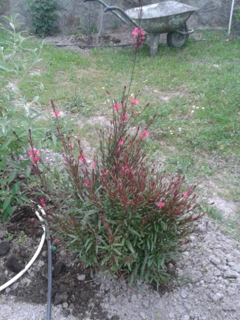 Name:  20160429_185948.jpg
Views: 363
Size:  65.7 KB