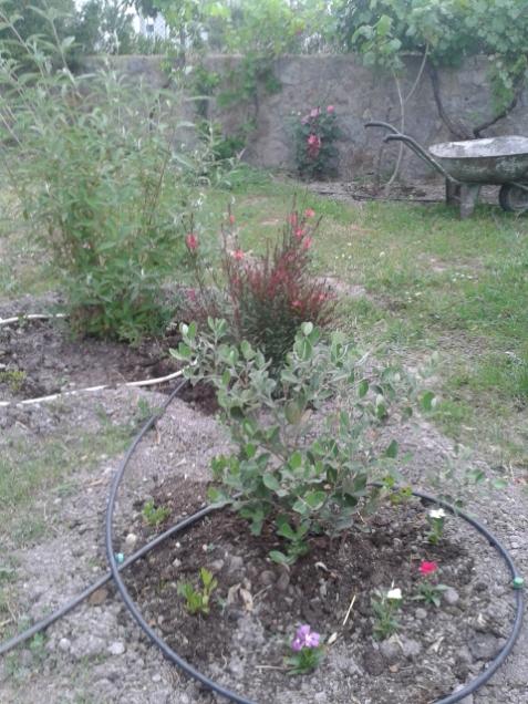 Name:  20160429_185937.jpg
Views: 363
Size:  65.4 KB