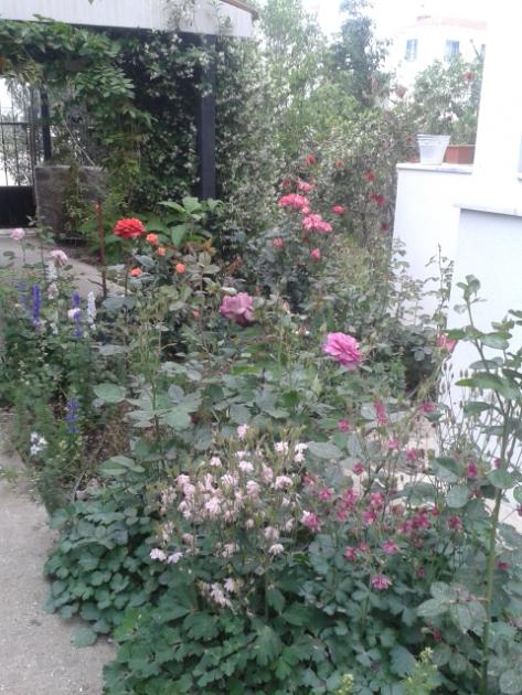 Name:  20160429_185546.jpg
Views: 353
Size:  65.1 KB