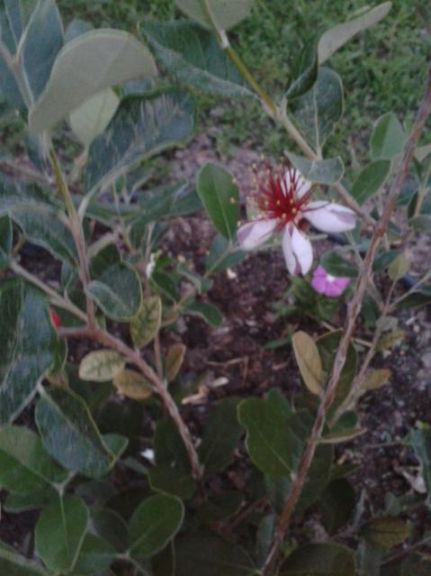 Name:  20160507_201217.jpg
Views: 369
Size:  39.5 KB