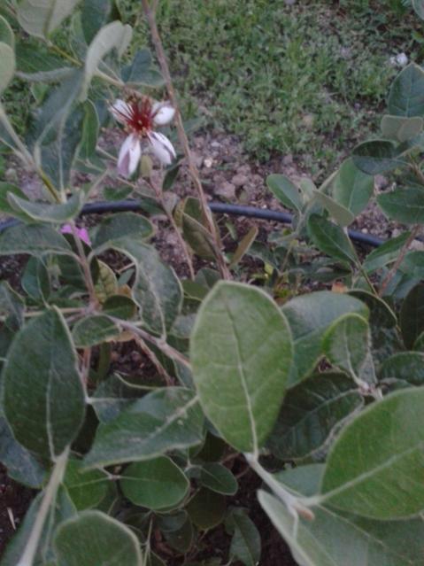 Name:  20160507_201226.jpg
Views: 368
Size:  46.1 KB