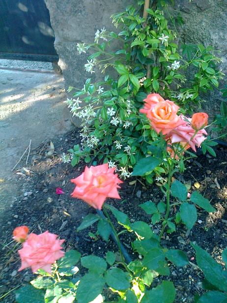 Name:  Fotoraf3784.jpg
Views: 367
Size:  76.9 KB