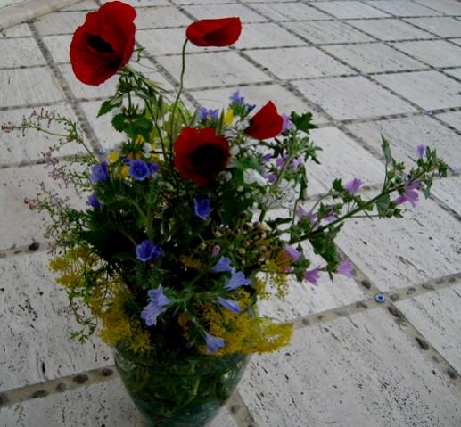 Name:  IMG_5492.jpg
Views: 765
Size:  48.7 KB