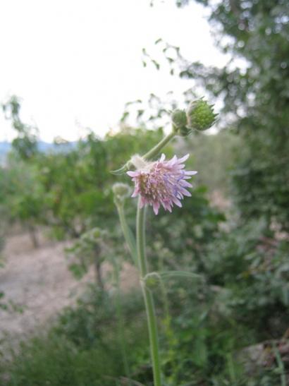 Name:  kr 2.jpg
Views: 769
Size:  24.7 KB