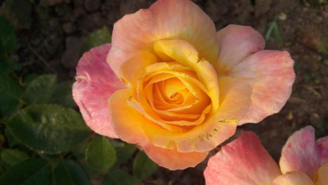 Name:  20160510_071135.jpg
Views: 836
Size:  26.8 KB