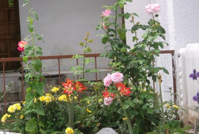 Name:  DSCF9322.jpg
Views: 465
Size:  54.8 KB