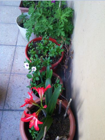 Name:  gec.JPG
Views: 266
Size:  40.8 KB