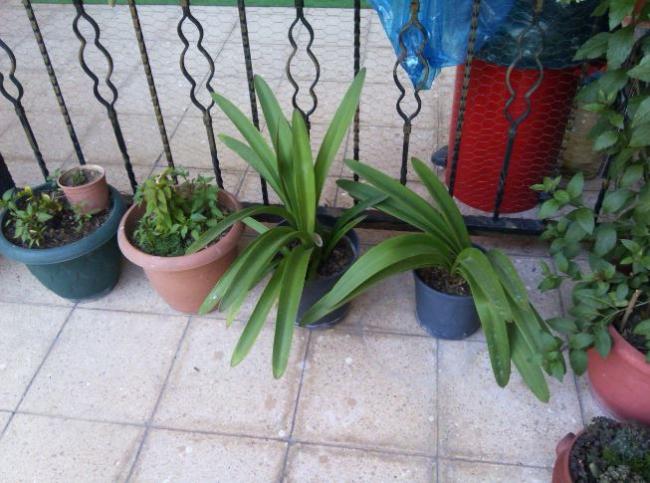 Name:  gec2.jpg
Views: 271
Size:  55.2 KB