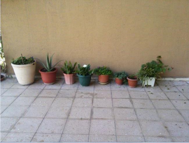 Name:  gec5.jpg
Views: 245
Size:  36.5 KB