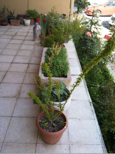 Name:  gec6.JPG
Views: 269
Size:  46.2 KB