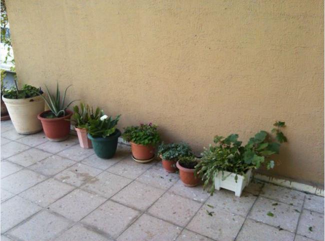 Name:  gec8.jpg
Views: 261
Size:  41.6 KB