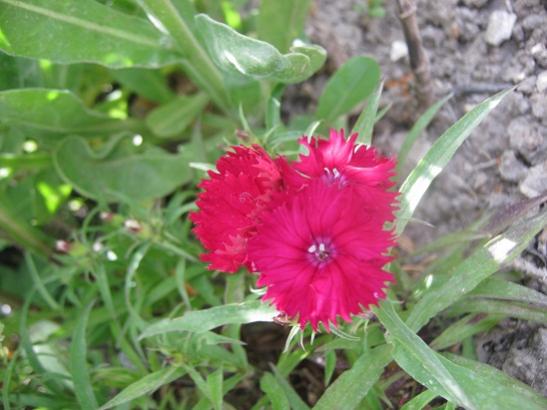 Name:  hsnyusuf.jpg
Views: 796
Size:  36.5 KB