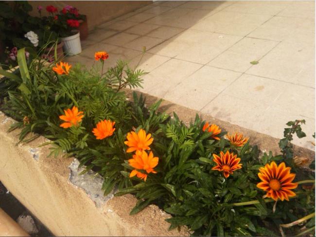 Name:  gz2.jpg
Views: 323
Size:  52.0 KB