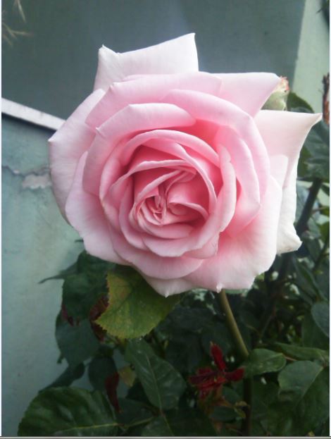Name:  g4.JPG
Views: 329
Size:  41.5 KB