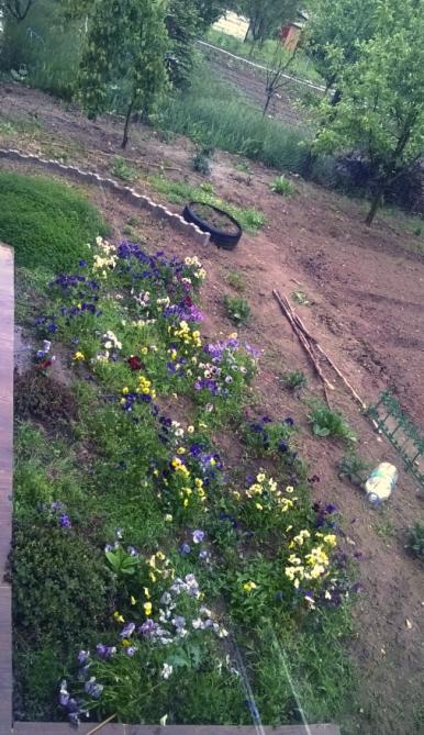 Name:  bahe 22.05.2016.jpg
Views: 444
Size:  67.2 KB