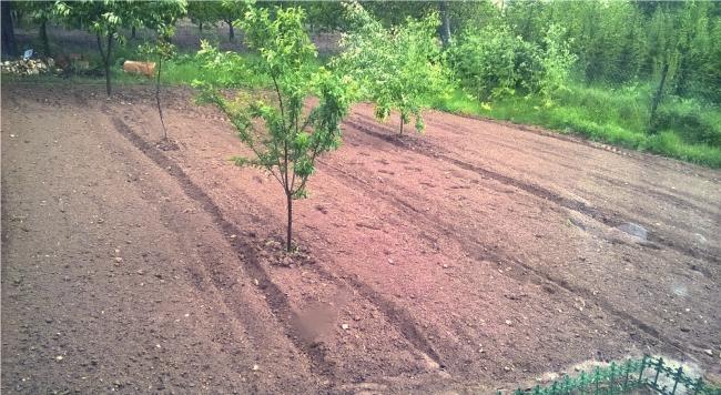 Name:  bahe3- 22.05.2016.jpg
Views: 447
Size:  65.1 KB