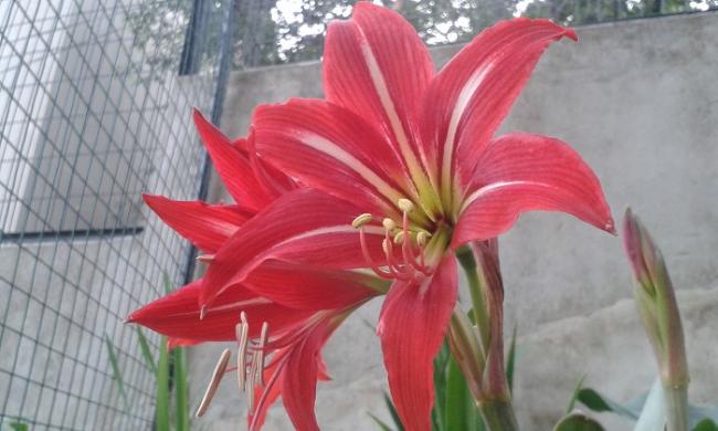 Name:  20160526_280439.jpg
Views: 871
Size:  37.8 KB