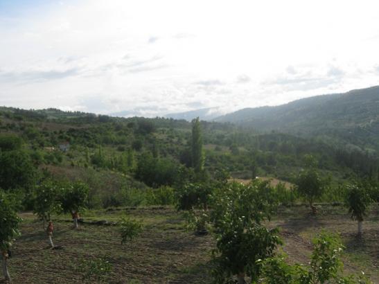 Name:  akam ..jpg
Views: 787
Size:  29.0 KB