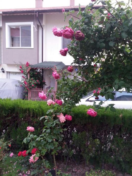 Name:  1.jpg
Views: 542
Size:  75.7 KB