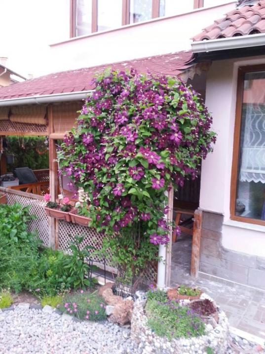 Name:  7.jpg
Views: 524
Size:  76.9 KB