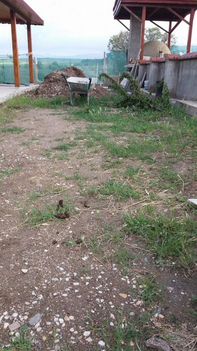 Name:  b.22 mays 2016, pazar.jpg3.jpg
Views: 705
Size:  73.2 KB