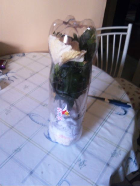 Name:  hb1.JPG
Views: 303
Size:  36.0 KB
