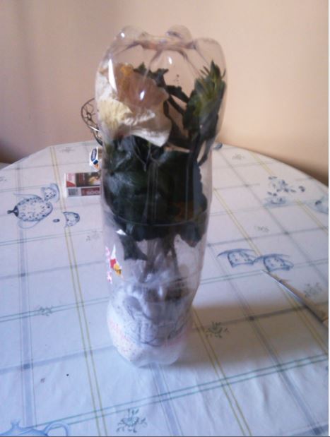 Name:  hb2.JPG
Views: 320
Size:  38.6 KB