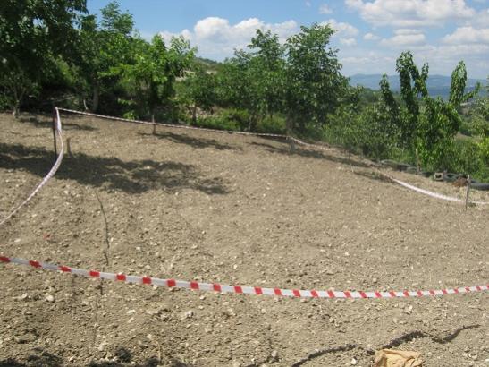 Name:  bostan tarlas.jpg
Views: 535
Size:  54.2 KB