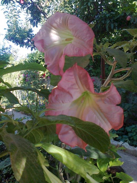 Name:  Fotoraf3941.jpg
Views: 448
Size:  74.8 KB