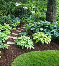 Name:  4a6f343e3487a7abd222dc6d55e37f86.jpg
Views: 987
Size:  17.0 KB
