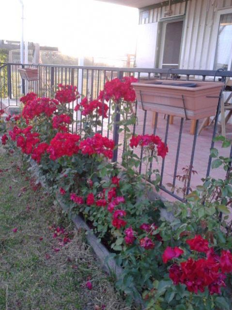 Name:  20160602_193444.jpg
Views: 884
Size:  57.7 KB