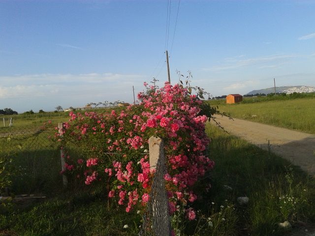 Name:  20160614_185414.jpg
Views: 865
Size:  59.2 KB