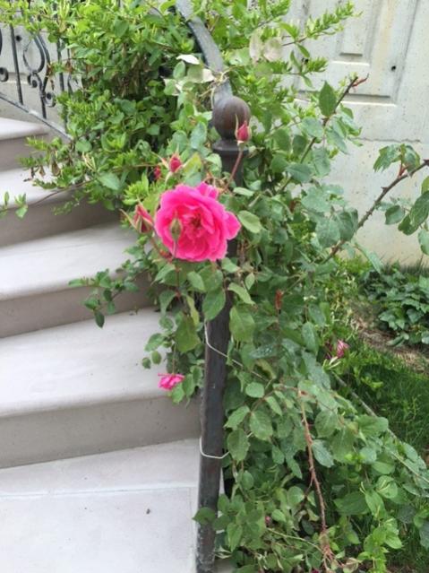 Name:  IMG_12293.jpg
Views: 312
Size:  58.3 KB