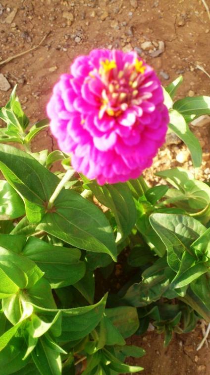 Name:  067.jpg
Views: 767
Size:  57.3 KB