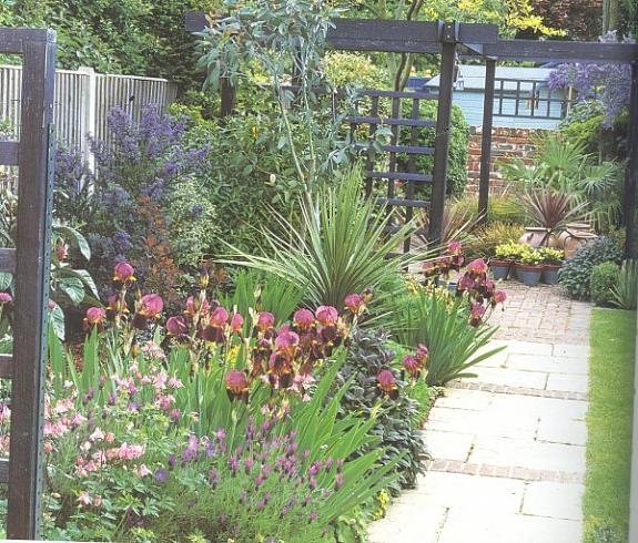 Name:  005 (600 x 511).jpg
Views: 1903
Size:  86.2 KB