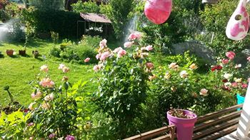 Name:  13501858_10154296034663415_9025450188286576844_n.jpg
Views: 500
Size:  28.3 KB