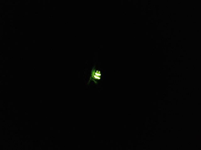 Name:  20160623_210619.jpg
Views: 765
Size:  26.3 KB