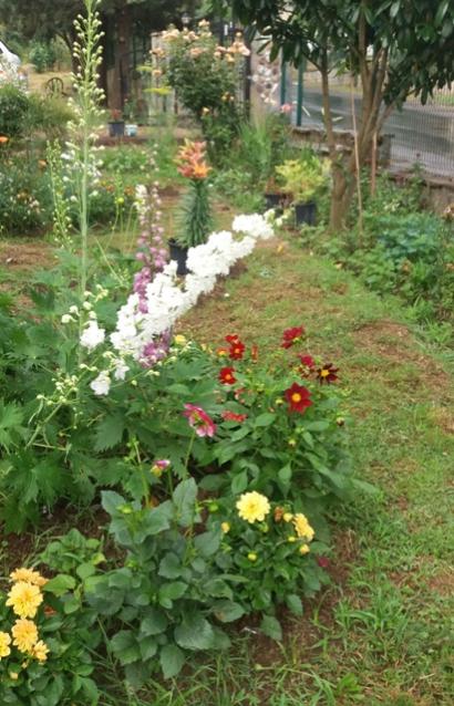 Name:  20160627_072253-1.jpg
Views: 555
Size:  61.2 KB