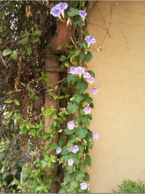 Name:  sa2.JPG
Views: 257
Size:  68.7 KB