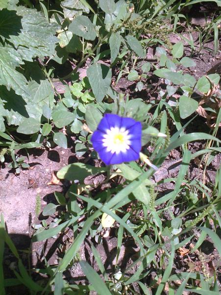 Name:  Fotoraf4074.jpg
Views: 339
Size:  81.2 KB