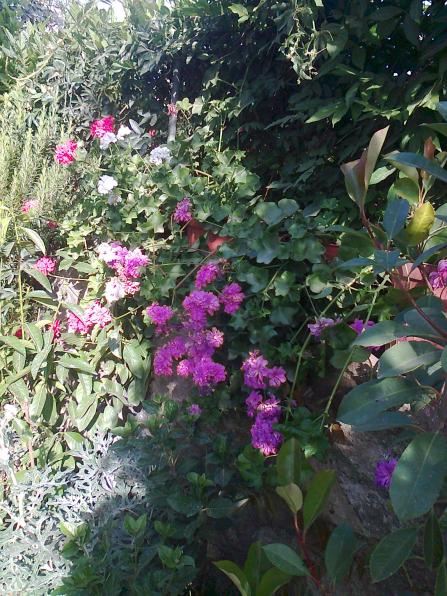Name:  Fotoraf3980.jpg
Views: 324
Size:  76.8 KB